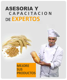 Asesorías y Capacitación de Expertos